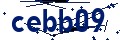 Beveiligingscode