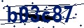 Beveiligingscode