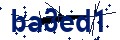 Beveiligingscode