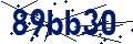 Beveiligingscode