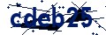 Beveiligingscode