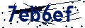 Beveiligingscode
