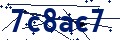 Beveiligingscode