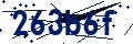 Beveiligingscode