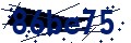 Beveiligingscode