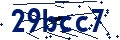 Beveiligingscode
