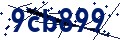 Beveiligingscode