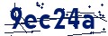 Beveiligingscode