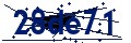 Beveiligingscode