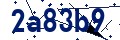 Beveiligingscode