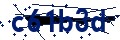 Beveiligingscode