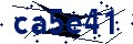 Beveiligingscode
