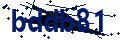 Beveiligingscode