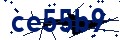 Beveiligingscode
